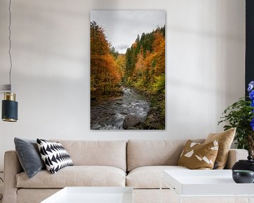 Herbstliche Farben entlang des Flusses in Bayern von Emile Kaihatu