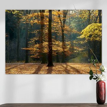 Autumn forest in backlight