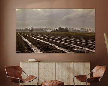 northern Friesland