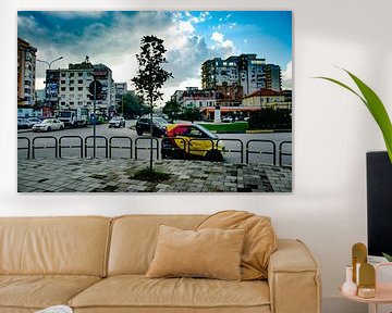 Small tree will grow tall?