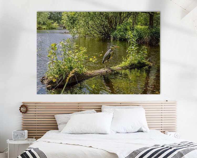 Aperçu de la chambre