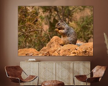 Grand Canyon eekhoorn van Peter Leenen