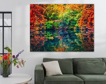 Herfstbos met meer in kunstkleuren van Mustafa Kurnaz
