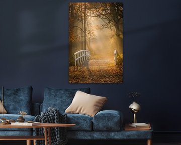Herbstfarben im Wald von Original Mostert Photography