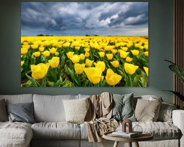 Bloeiende tulpen in een veld voor een lente storm van Sjoerd van der Wal