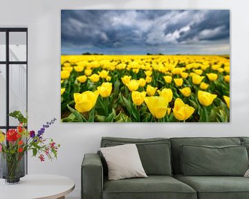 Blossoming yellow tulips in a field by Sjoerd van der Wal Photography