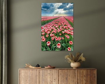 Bloeiende tulpen in een veld voor een lente storm van Sjoerd van der Wal