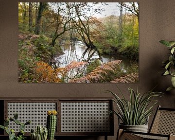 Landschap Limburgs meanderend beekje in de herfst van Ger Beekes