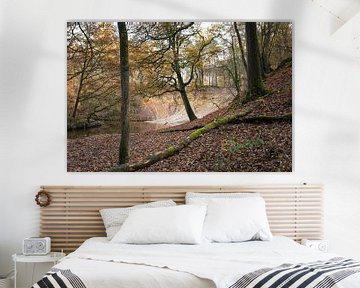Herfst landschap met beek in bos, Noord-Limburg van Ger Beekes