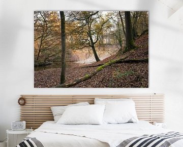 Paysage d'automne avec ruisseau sinueux en forêt sur Ger Beekes