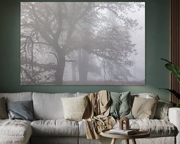 bomen in de mist van Tania Perneel