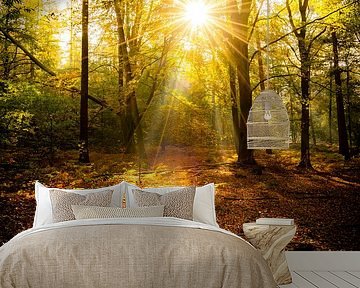 Sonneneinstrahlung Überlastung von Arjen Uijttenboogaart