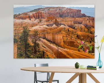 Bryce Canyon, Sinking Ship van Peter Leenen