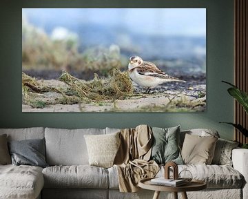 Vogels op het strand van Yvonne Kruders