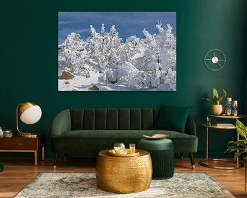 Met sneeuw beladen bomen van Peter Leenen
