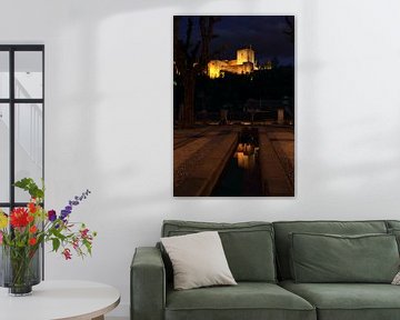 Alhambra Reflection by Cornelis (Cees) Cornelissen