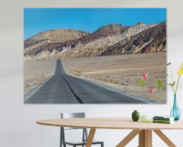 Death Valley roadtrip van Peter Leenen