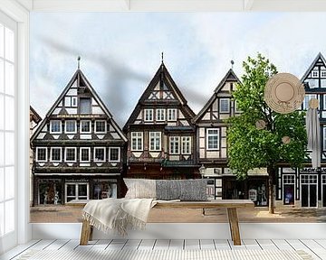 Celle | half-timbered Zöllnerstraße by Panorama Streetline
