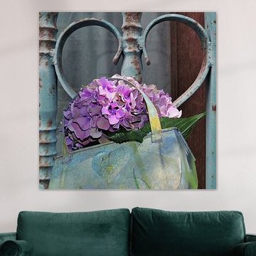 Hydrangea - H. Fischer