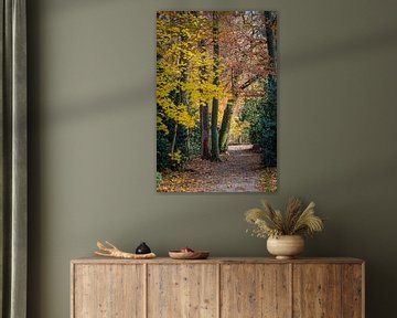 Autumn Path by Jose Gieskes