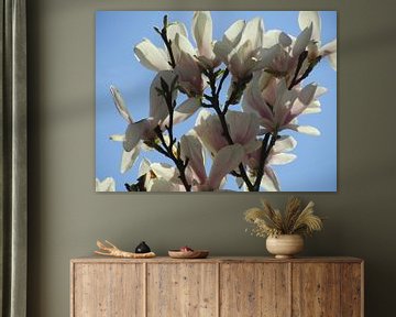 De magnolia in zon van Ria van den Berg