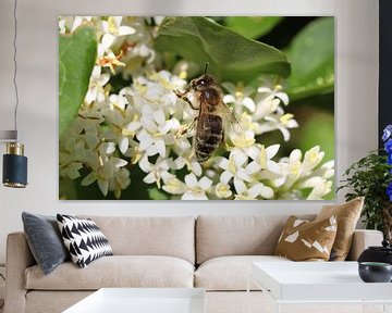 Fleurs et abeilles sur Niels Bochoven