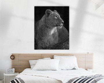 Lionceau asiatique en noir et blanc sur Patrick van Bakkum