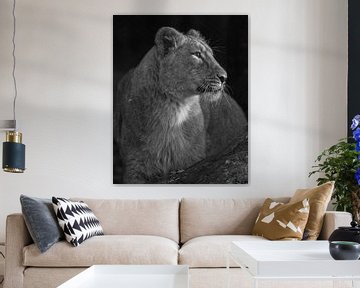 Asiatisches Löwenjunges in Schwarz-Weiß von Patrick van Bakkum
