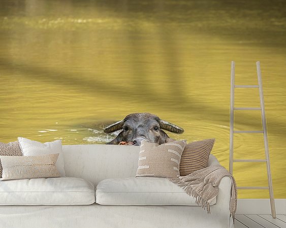 Voorbeeld van het werk in een kamer