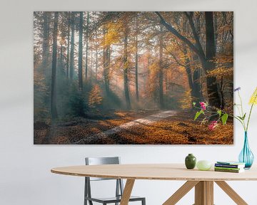 Herbst im Wald von Niels Barto