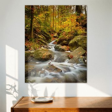 Autumn in the Belgian Ardennes