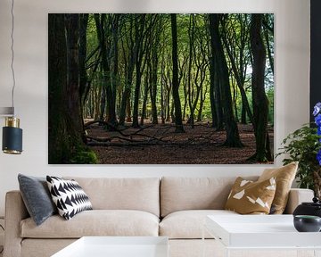 Zonlicht door het bos in herfstkleuren op de Veluwe van Photo Henk van Dijk