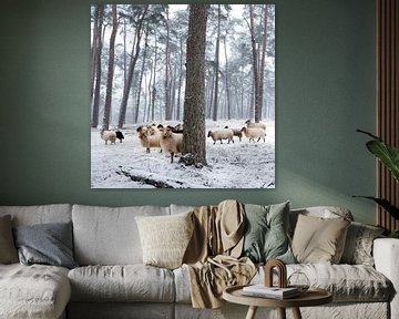 moutons dans la forêt enneigée sur anton havelaar