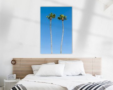 Summer idyll with palm trees by Melanie Viola