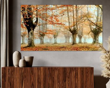 Herbstwald von Lars van de Goor