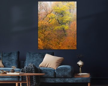 Autumn in the highlands of Scotland by Jos Pannekoek