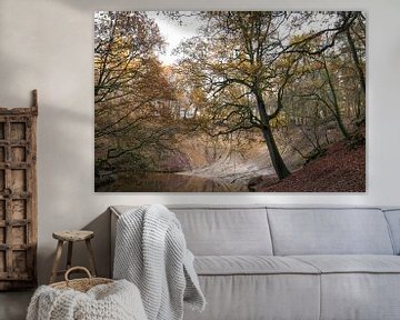 Schöne Limburg, Mäanderbach in Leudal mit Eiche in der Landschaft. von Ger Beekes