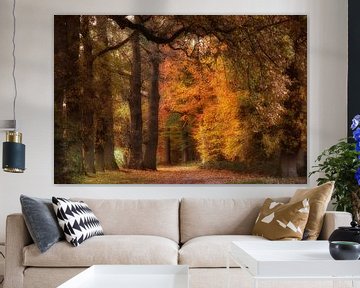Dutch forest van Tom Kraaijenbrink