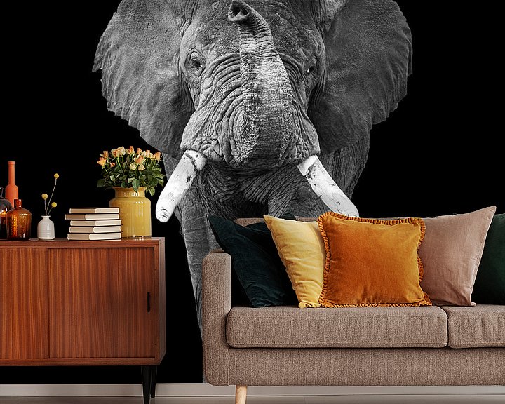 Sfeerimpressie behang: Lopende olifant met slurf omhoog van Sharing Wildlife