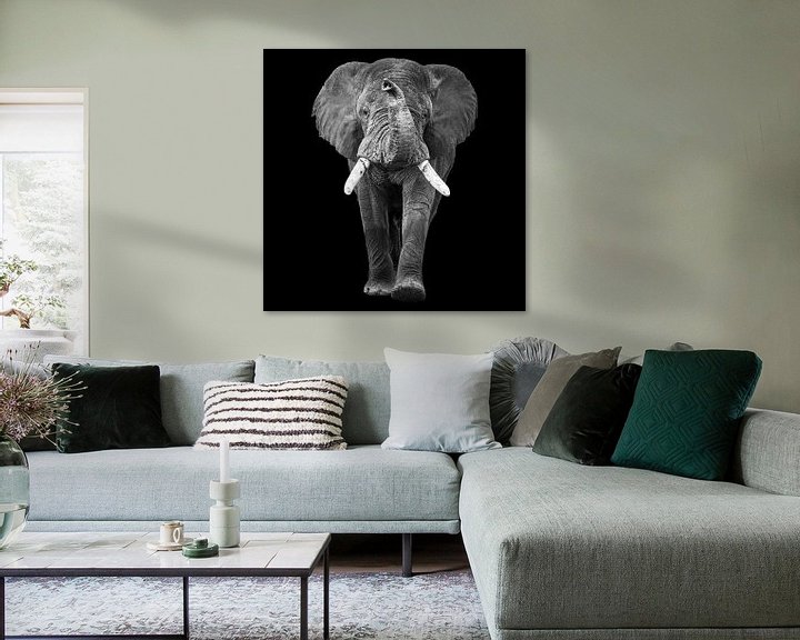 Sfeerimpressie: Lopende olifant met slurf omhoog van Sharing Wildlife