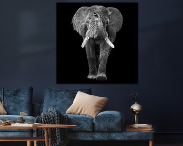 Laufender Elefant mit Rüssel oben von Sharing Wildlife