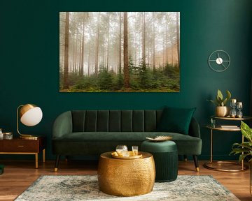 Vue dans un paysage de pins brumeux sur Sjoerd van der Wal Photographie
