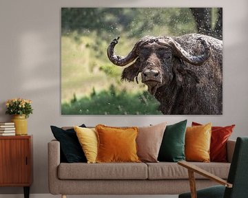 Buffalo by Jessica Blokland van Diën