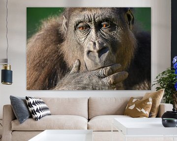Gorilla close-up portret van dichtbij van Sjoerd van der Wal