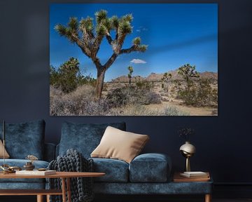 Joshua tree National Park van Peter Leenen