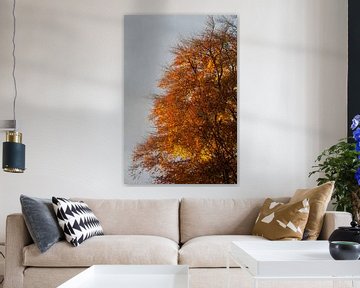 Vurige herfstboom van Daan Ruijter