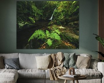 Asturias waterfall in the forest Cascada Gorgollon by Jean Claude Castor