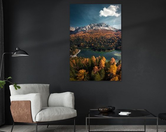 Aperçu de la chambre