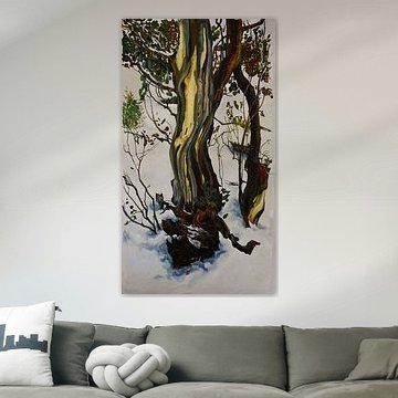 in Winter Earth and Nature