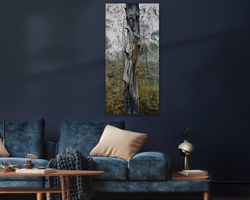 Australian Landscape Tree trunk